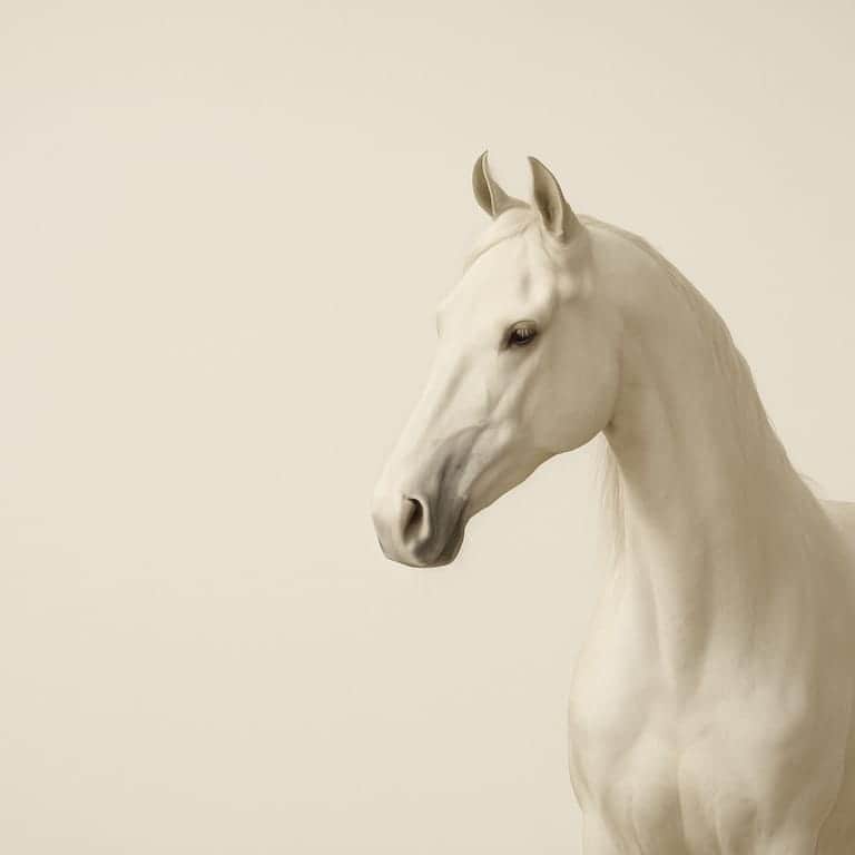 Minimal One-Line Contour